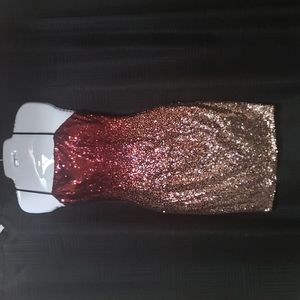 Fashion Nova Sequin Mini Dress